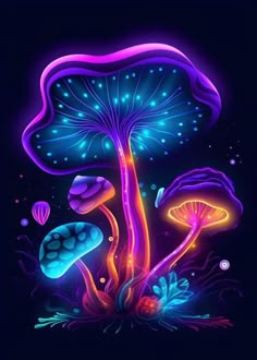 glowing mushrooms in the dark with bright colors