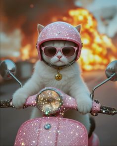 a white cat wearing sunglasses and a pink helmet on top of a motor scooter