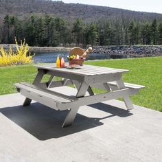 a picnic table sitting on top of a cement slab