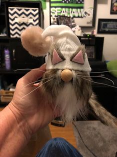 a cat with a hat on it's head is being held up to the camera