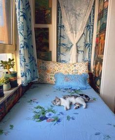 a cat laying on top of a bed in a room with blue sheets and curtains