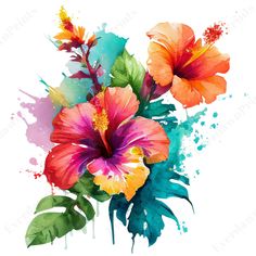 watercolor painting of colorful flowers on white background