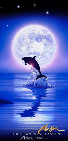 a dolphin jumping out of the water in front of a full moon with stars above it