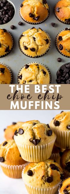 muffins with chocolate chips in them and the title above it reads, the best muffins