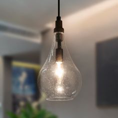 a light bulb hanging from a ceiling in a room with a potted plant on the table