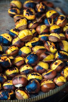 some yellow and brown acorns sitting on top of each other