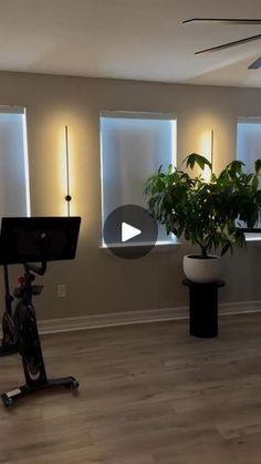 an exercise room with plants and lights in the windows