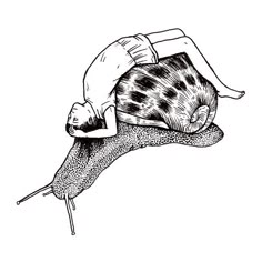 a black and white drawing of a snail