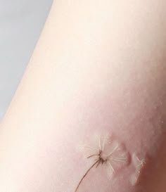 a small dandelion on the side of a woman's leg