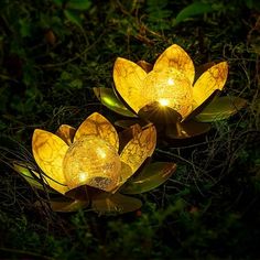 three yellow lights sitting on top of green leaves in the dark night sky, with trees and grass behind them