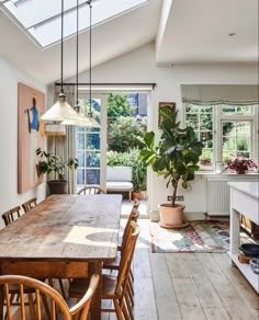 a dining room table with chairs and a potted plant in the middle of it