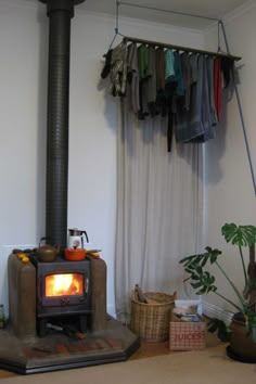 a wood burning stove in a living room next to a potted houseplant