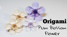 three flowers are shown with the words organic plum blossom flower on it's side