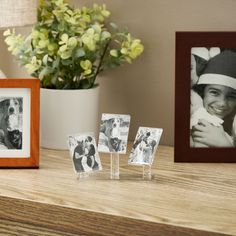 three pictures are sitting on a shelf next to a vase with flowers and a framed photo