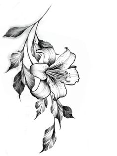 a black and white drawing of a flower with leaves on the bottom half of it