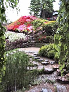 the garden is full of colorful flowers and rocks, with stepping steps leading up to it