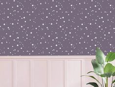 a potted plant sitting in front of a wall with stars on it and purple walls