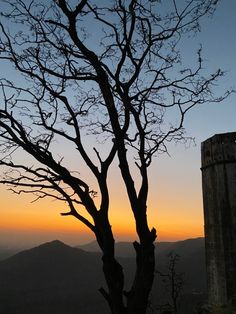 a tree with no leaves in the foreground and mountains in the background at sunset