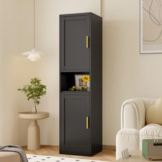 a tall black cabinet in a living room