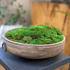 Moss Bowl, Creative Planters, Plant Jungle, Creative Planter, Table Counter, Centerpiece Bowl, Nature's Beauty, Green Living, Plant Care