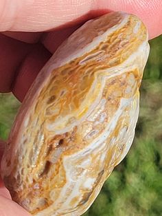 a close up of a person's hand holding a rock in their left hand