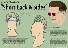 Classic Mens Haircut, Vintage Haircuts, 1930s Hair, Kinds Of Haircut, Men's Cuts, Classic Haircut, Tumblr Hair, Mens Haircut, Mens Haircuts