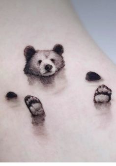 a bear's paw and foot prints on the stomach