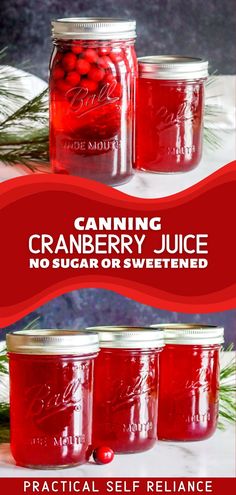 homemade canned cranberry juice in mason jars Healthy Canning Recipes Clean Eating, How To Can Cranberries, Healthy Cranberry Juice Recipes, Canning Cranberries For Juice, Canning Cranberry Sauce Recipes, Homemade Juice Concentrate, Water Bath Canning Juice, Home Canned Cranberry Juice, Canning Cranberries Recipes