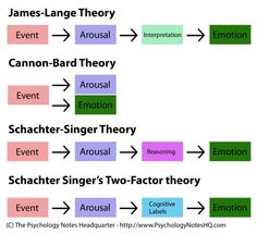 a diagram with different types of words on it