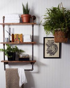 three shelves with plants and books on them