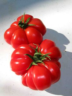 three red tomatoes sitting next to each other on a white counter top in the sun