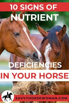 two horses eating hay with the words 10 signs of nutriennt defidicies in your horse