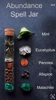 ingredients   • mint  • eucalyptus   • pennies  • allspice  • malachite Jar Spells Witchcraft Money, Metaphysical Store Display, Creativity Jar Spell, Money Spell Jar Without Crystals, Protection Jars, Abundance Spell Jar, Spiritual Topics, Simple Abundance Spell Jar, Abundance Spell