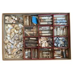 an open box filled with lots of different types of rocks and shells in it's compartments