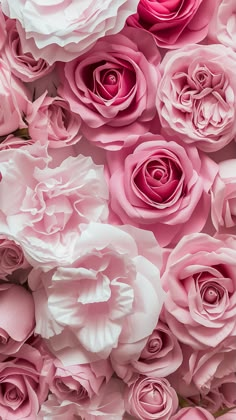 pink flowers are arranged in the shape of roses, and they appear to be very large