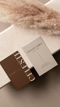 two folded business cards sitting on top of a marble table next to a furry animal's tail