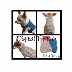 three pictures of a small dog wearing a sweater in different colors and sizes, with the caption digital pattern hello garbley