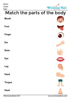 worksheet for kids to learn the parts of the body with pictures on it