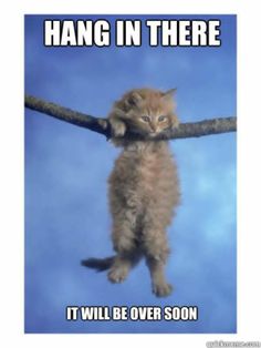 a kitten hanging on to a rope with caption that reads hang in there it will be over soon