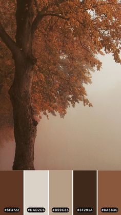 a tree with lots of leaves in front of it on a foggy autumn day