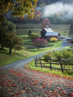 a country road with a barn in the background and autumn leaves on the ground next to it