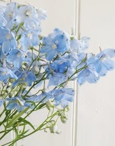 blue flowers are in a glass vase on a white tableclothed wall behind it