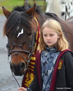 Harry Potter Dress Up, Halloween Barn, Harry Potter Dress, Funny Horse Pictures