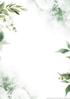 white flowers and green leaves on a white background