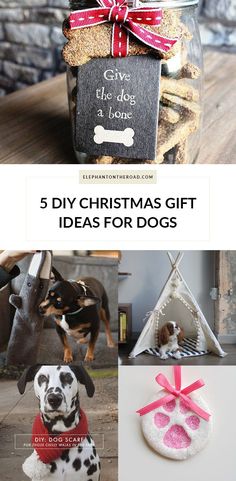 five diy christmas gift ideas for dogs