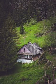 an old cabin nestled in the middle of a green field surrounded by trees and grass