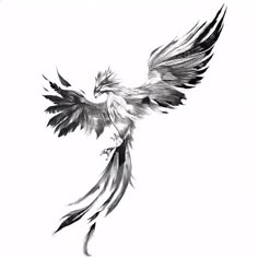 a black and white drawing of a bird with its wings spread out in the air