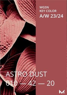 a poster with pink leaves on it for the astro dust show at wgn key color aw 23 / 24