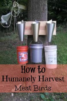 several buckets hanging from a tree with the words how to humanely harvest meat birds