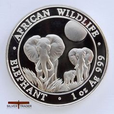 an african wildlife elephant coin with the moon in the background and two elephants on it's side